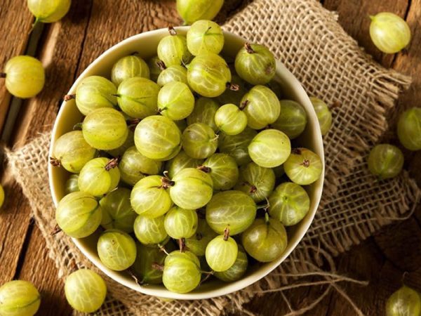 Gooseberries