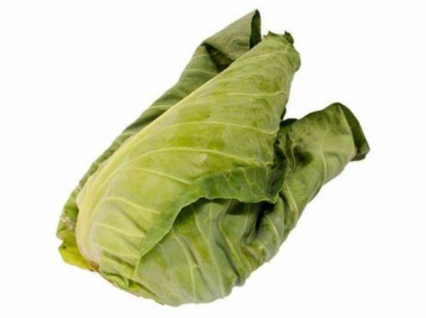 Hispie Cabbage