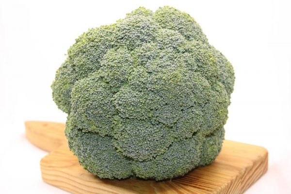 Broccoli