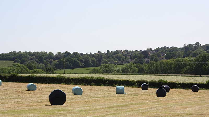 Grange Farm Crawley Down